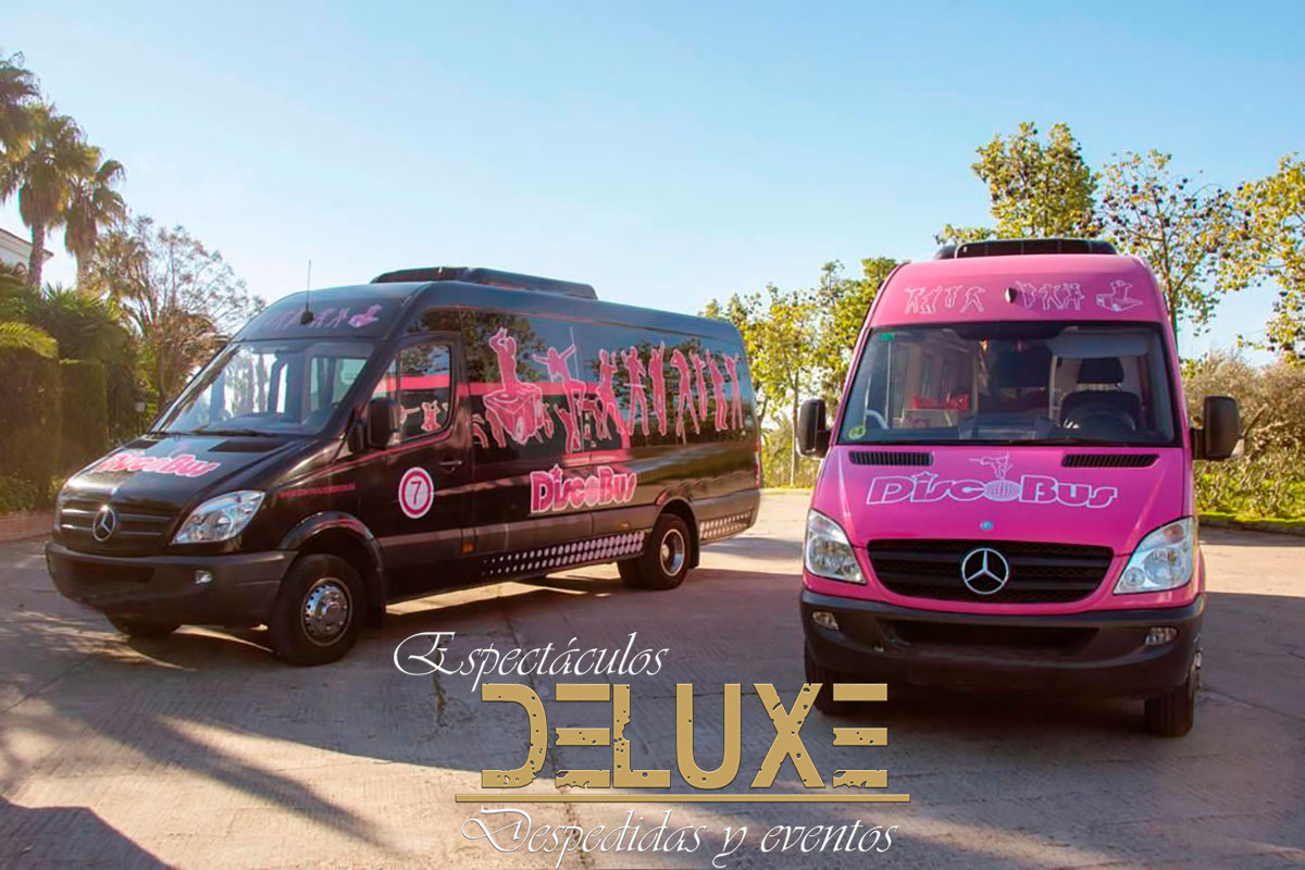 Discobus para cumpleaños en Sevilla