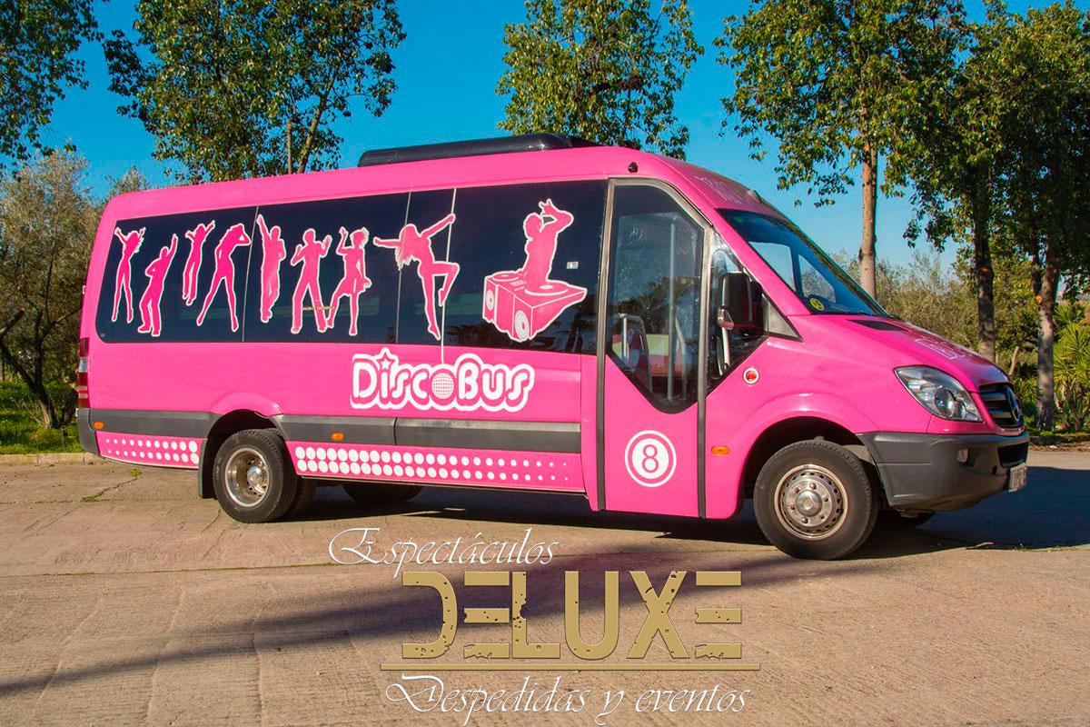 Discobus para cumpleaños en Sevilla