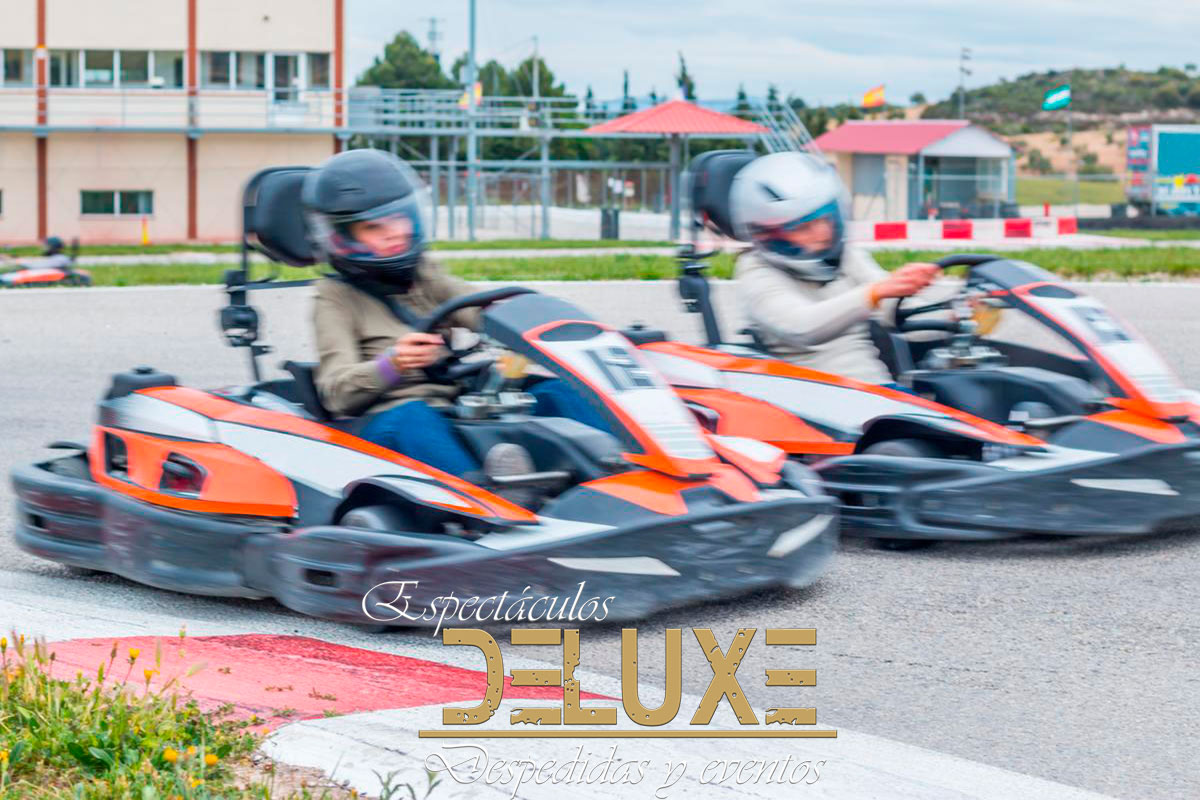 Karting para cumpleaños en Sevilla